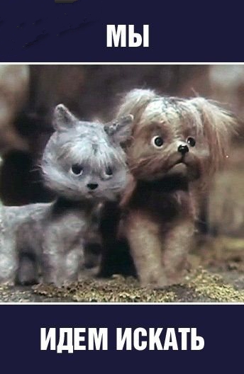 Мы идём искать (1988/DVDRip/120Мb)