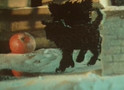 мульфильм Котёнок скачать