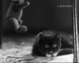 мультфильм Агапыч скачать