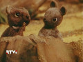 мультфильм На чёрный день скачать