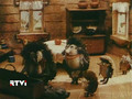 мультфильм На чёрный день скачать
